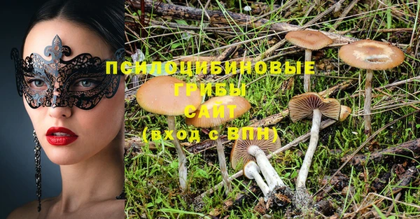 спайс Богданович