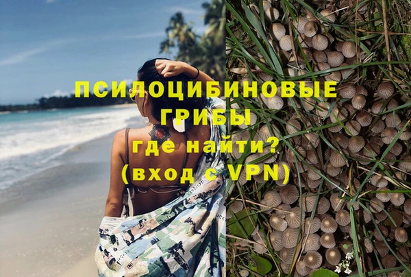спайс Богданович