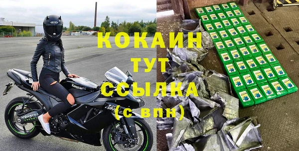 спайс Богданович