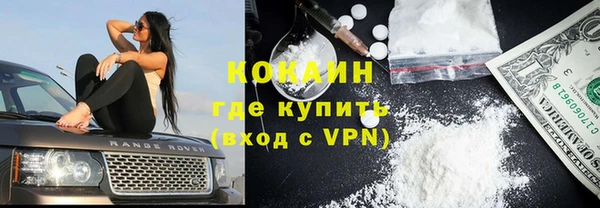 спайс Богданович